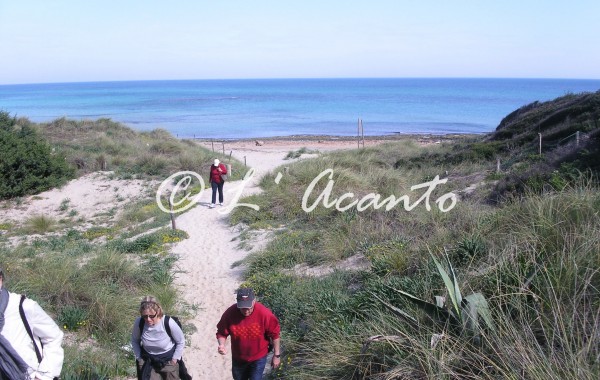 walking along the beach