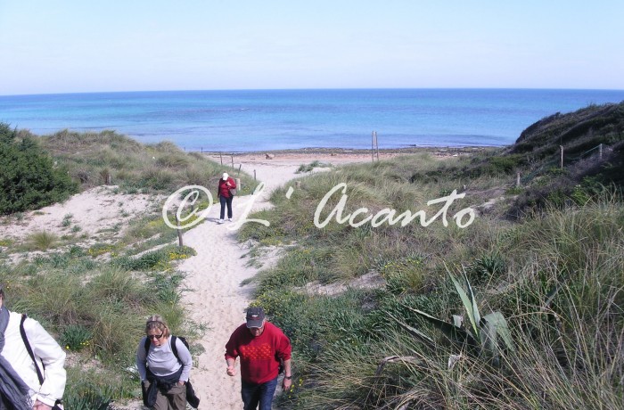 walking along the beach