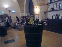 visiting a wine cooperative