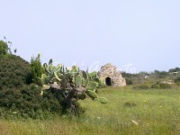 old shelter for farmers