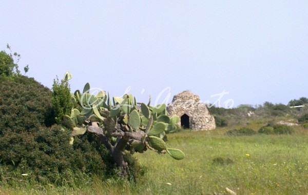 old shelter for farmers