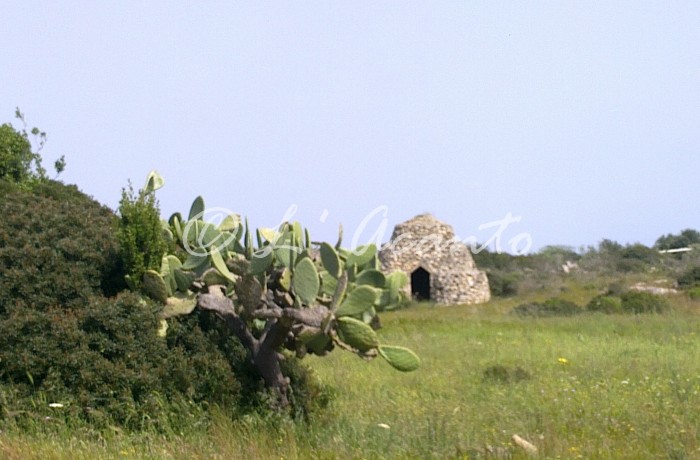 old shelter for farmers