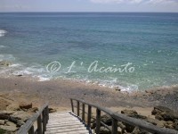 Study Holiday to the Beach