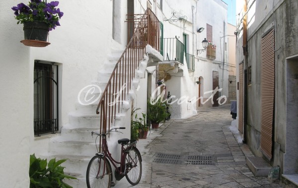 picturesque street in the historic centre of Mesagne