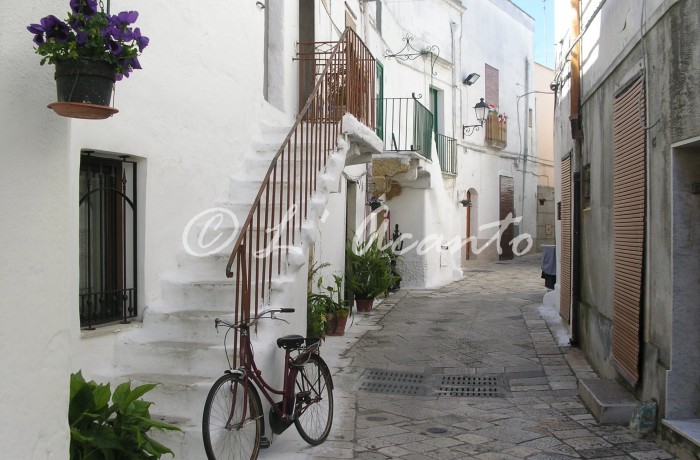 picturesque street in the historic centre of Mesagne