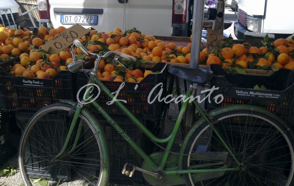 visiting the weekly local market