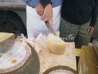 learning Italian by doing