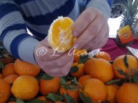 tasting a fresh orange