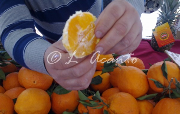 tasting a fresh orange