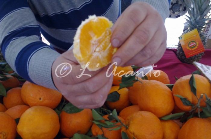 tasting a fresh orange