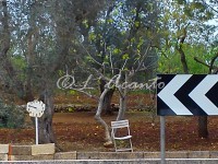 out of time in Puglia