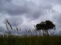 visiting Puglia in low season