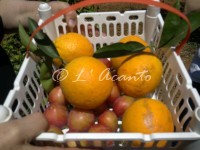 pick your own fresh fruit