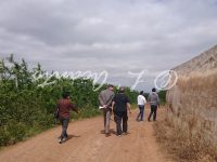 walking and speaking Italian