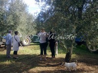 visiting the countryside